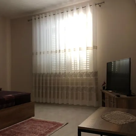 Comfy Central * Shkoder
